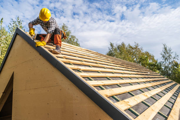 Best Roof Leak Repair  in Albany, MN