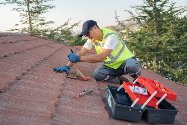 Quick and Trustworthy Emergency Roof Repair Services in Albany, MN