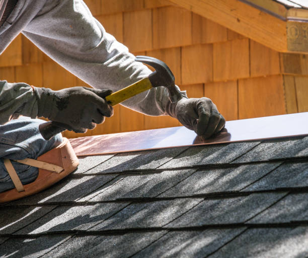Best Roof Repair Services  in Albany, MN